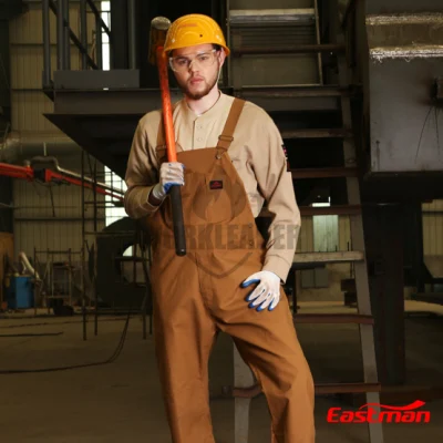 Salopette/pantaloni Fr Duck Workwear certificati UL